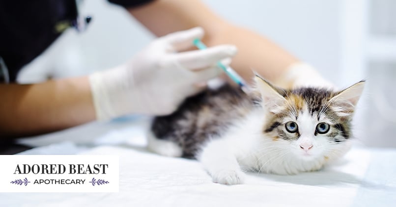 Animal Vaccines: Why My Heart Says There Has to be a Better Way