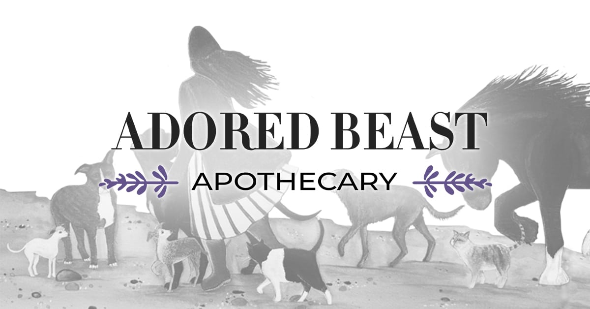 Equine Adored Beast – Thank You
