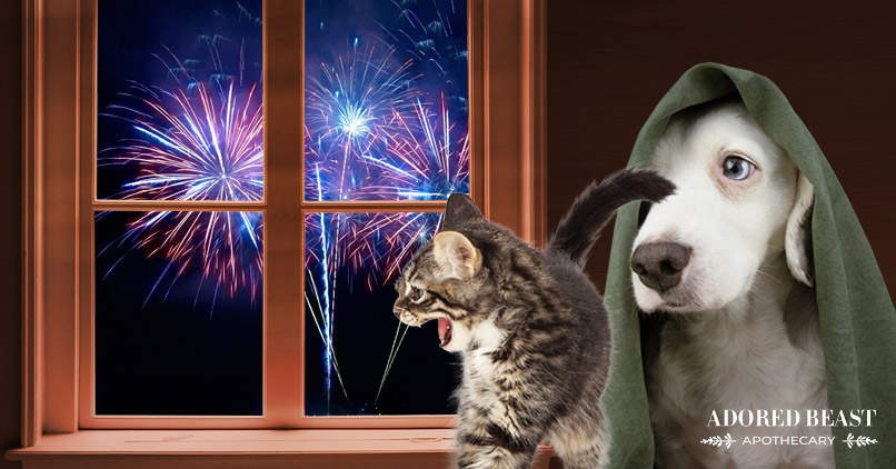 new years pet safety tips