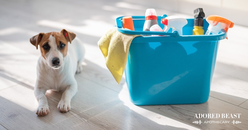 pet safe cleaning