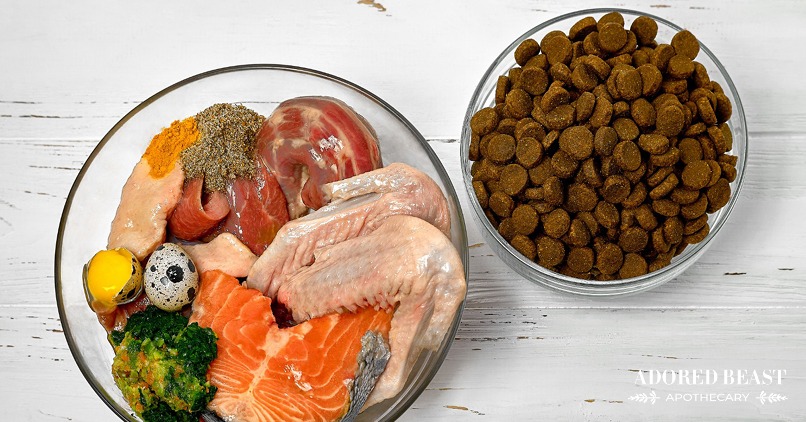 Adding Fresh Food to Kibble: Easy Dog Food Topper Recipe