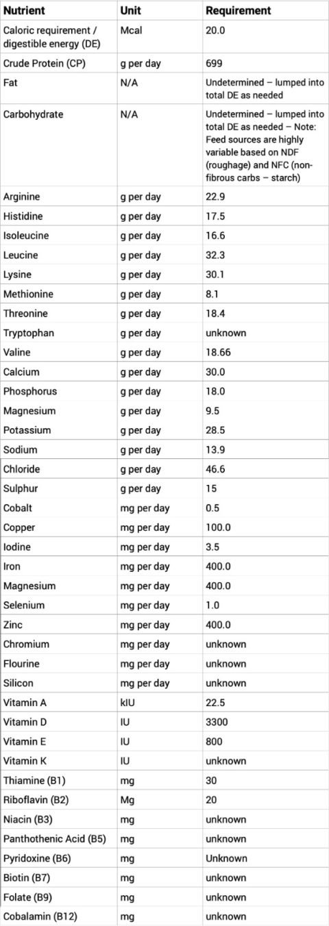 Equine Nutrition: What You Need to Know About Processed Horse Feed