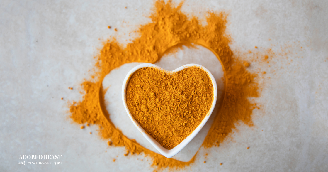 Is Turmeric Good for Dogs? PLUS Our Golden Paste Recipe