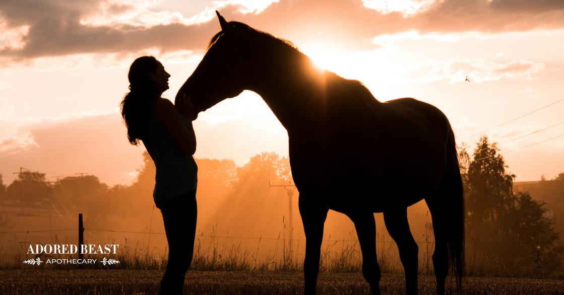 That’s (Good) Horse Sh*T: Species-Appropriate Probiotics for Horses