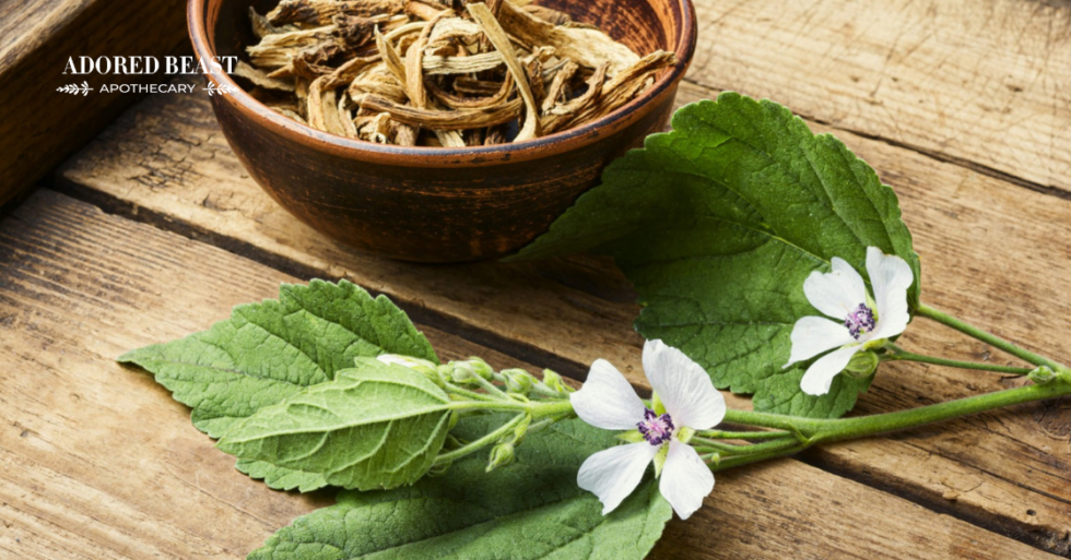 Marshmallow Root for Horses