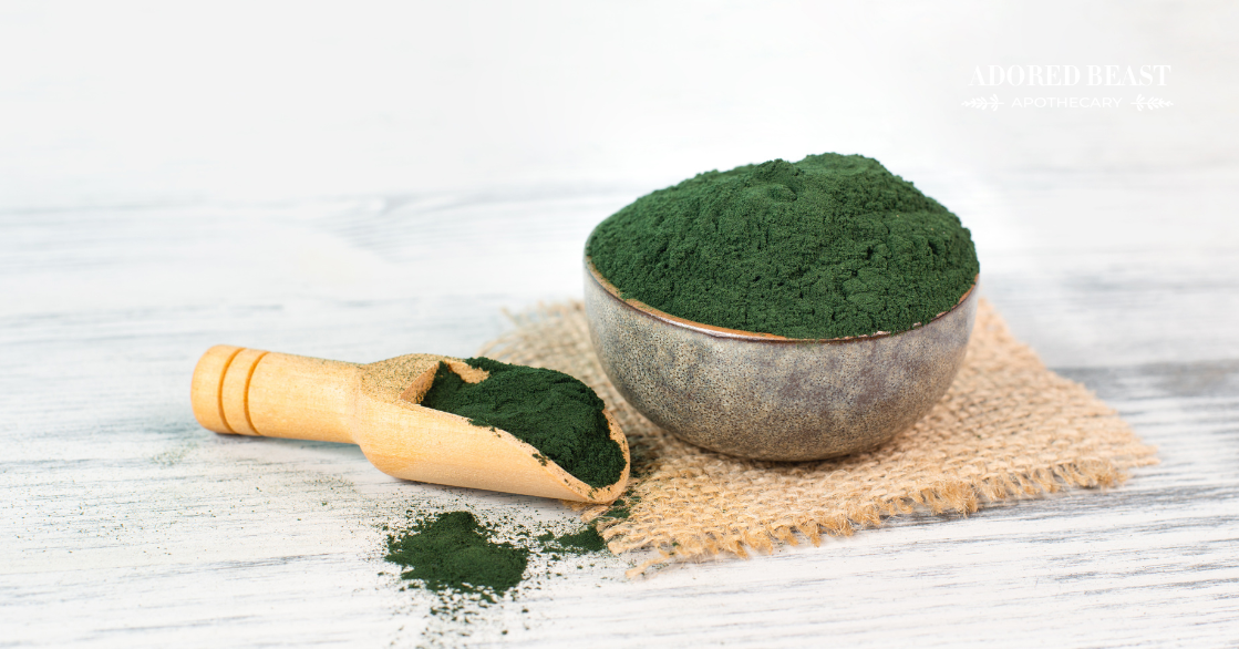 The Benefits of Chlorella for Dogs and Cats