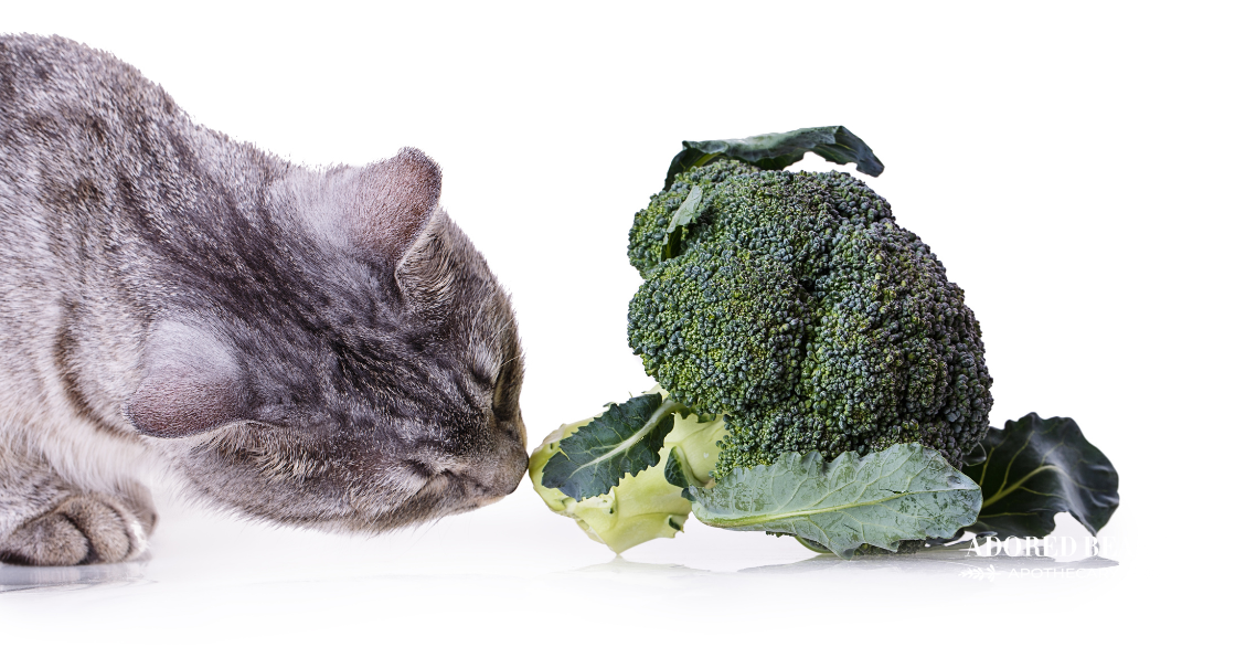can cats eat vegetables