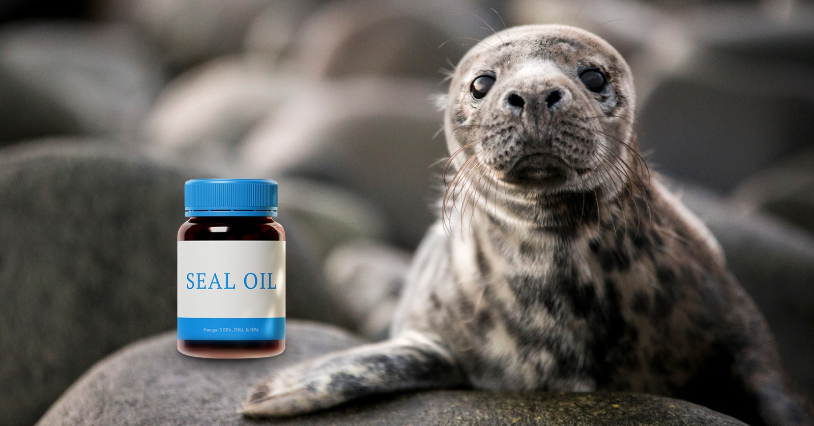 seal oil