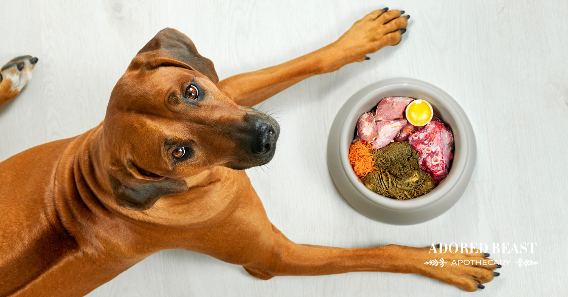 Rotational Feeding for Dogs: Rotating Foods & Supplements