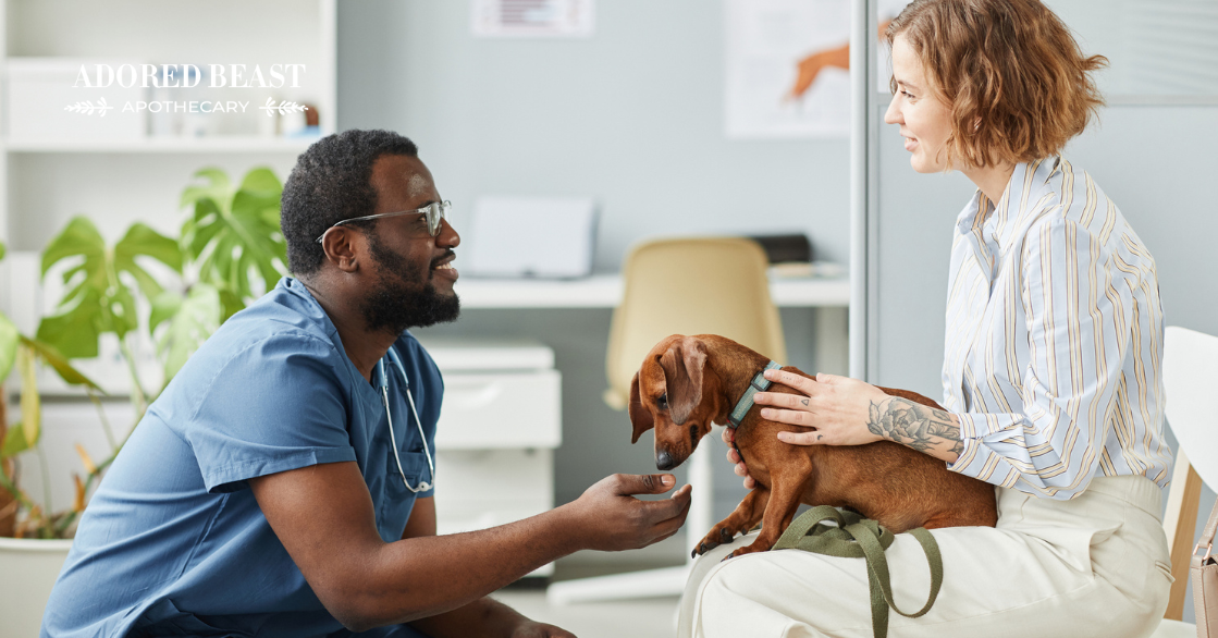 Has Your Vet Recommended Probiotics for Your Pet?