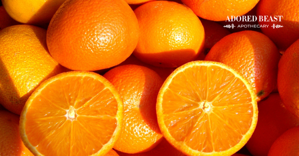 Can dogs eat oranges 