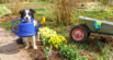 Pet-Safe Fertilizer: Keeping Your Garden and Pets Healthy