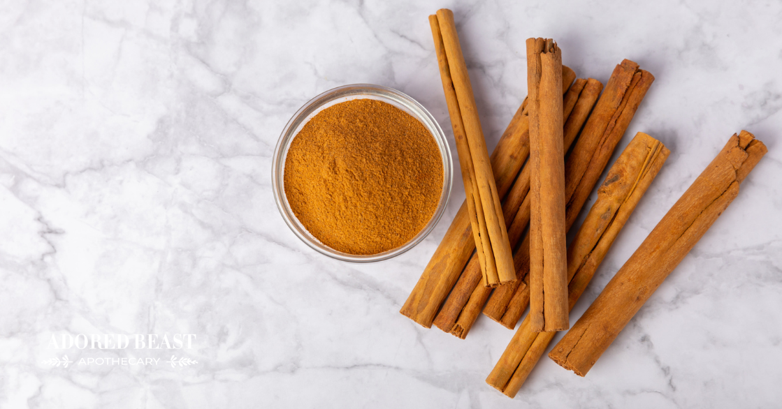 Can Dogs Have Cinnamon? It’s Time to Spice Things Up