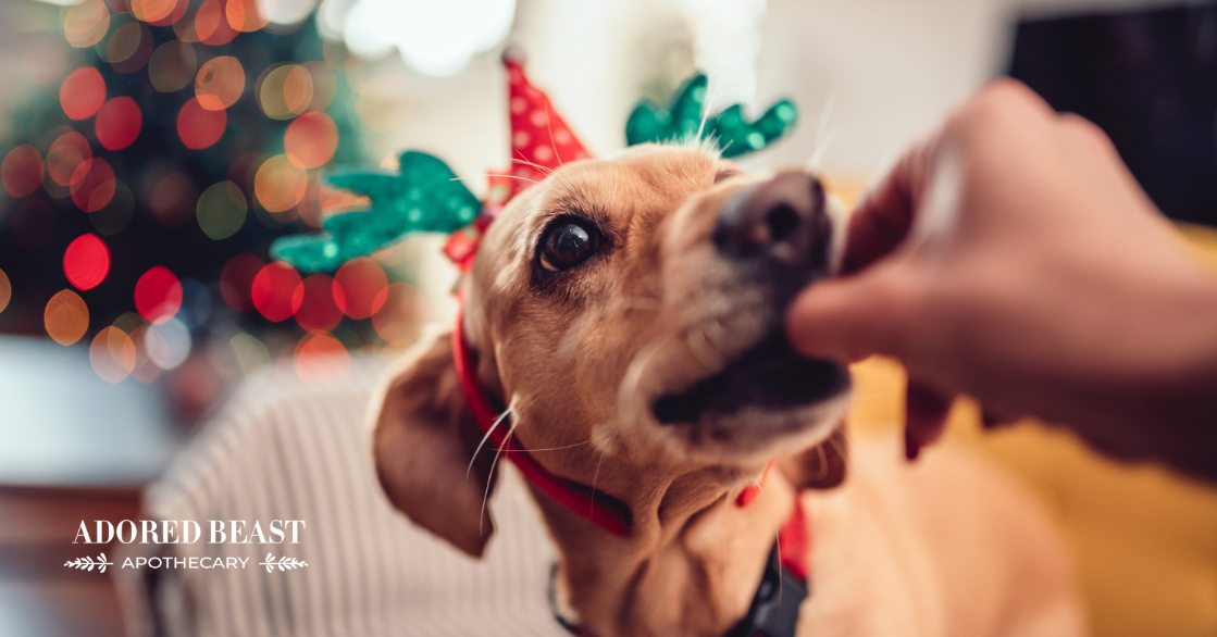 2 Healthy Holiday Dog Treat Recipes