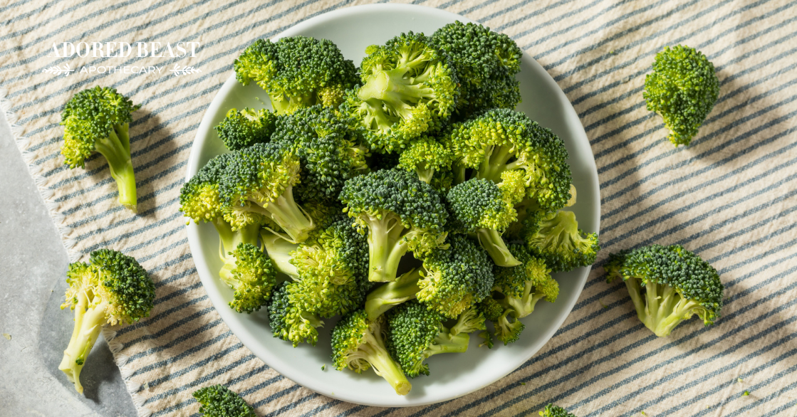 Is Broccoli for Dogs on the Yes or No List?