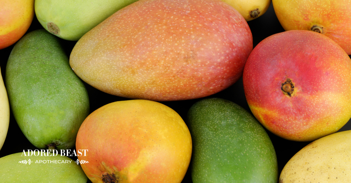 Can Dogs Eat Mango? Plus a Sweet Treat Recipe