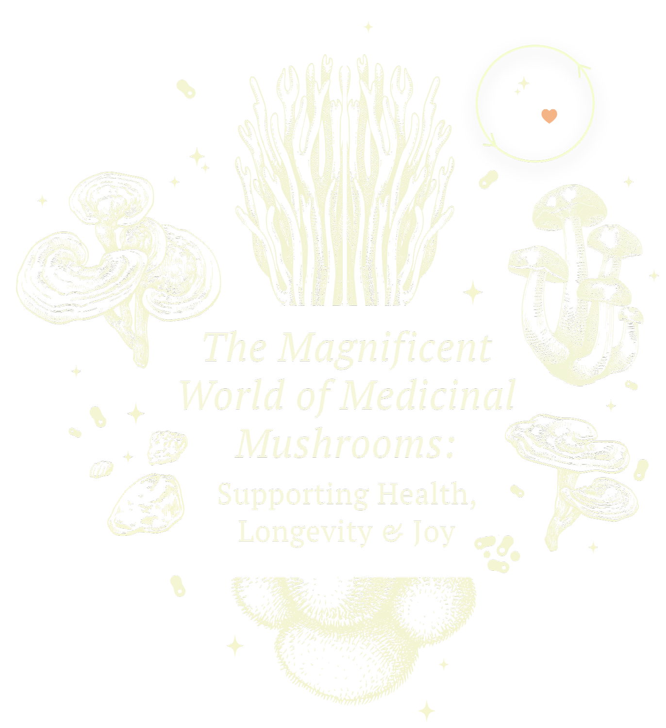 Medicinal-Mushrooms-ebook_APRIL2025_V2
