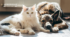 What Are Postbiotics for Dogs and Cats?