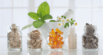 Can Pets Take Human Supplements? What You Need to Know