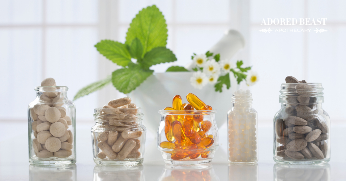 Can Pets Take Human Supplements? What You Need to Know