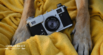 Say Cheese! The Best Cat and Dog Photo Tips