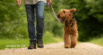 Do I Need to Walk My Dog Every Day?