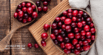 Can Dogs Eat Cranberries?