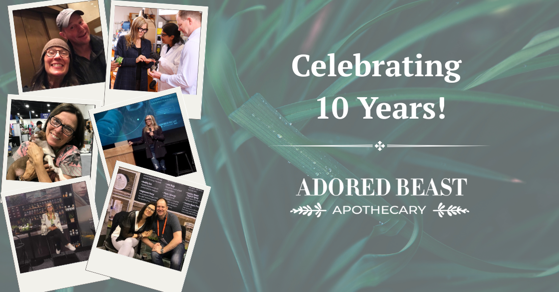 Celebrating a Decade of Adored Beast Apothecary