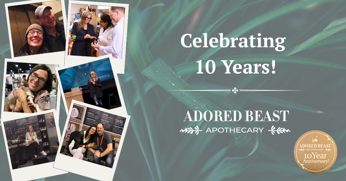Celebrating a Decade of Adored Beast Apothecary