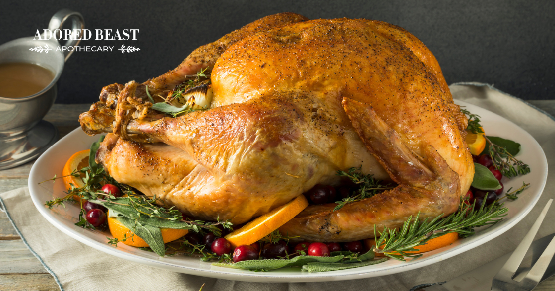 Can Dogs Eat Turkey?