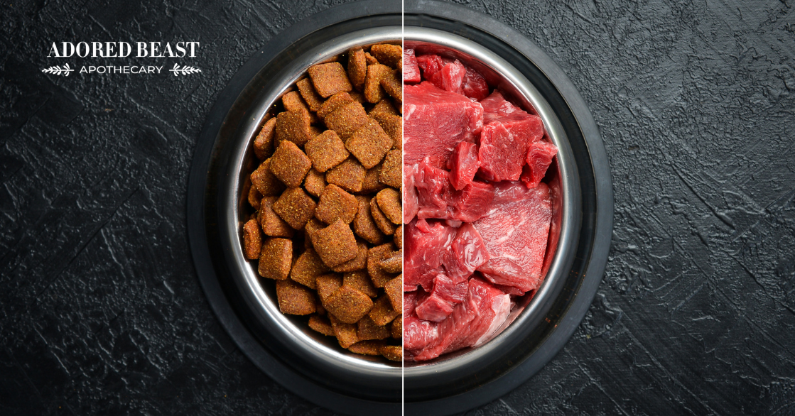 Raw Dog Food vs Kibble: New Research