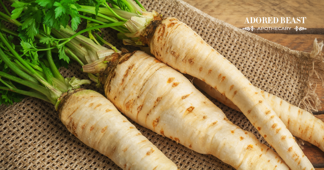 Can Dogs Eat Parsnips?