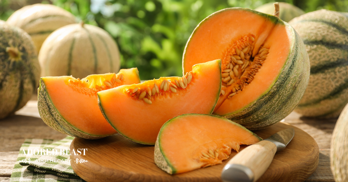 Can Dogs Eat Cantaloupe?