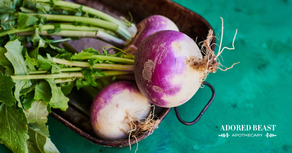 Can Dogs Eat Turnips?