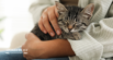 The Health Benefits of Cats: How Cats Make Our Lives Better