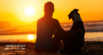 The Health Benefits of Dogs: How Dogs Make Our Lives Better